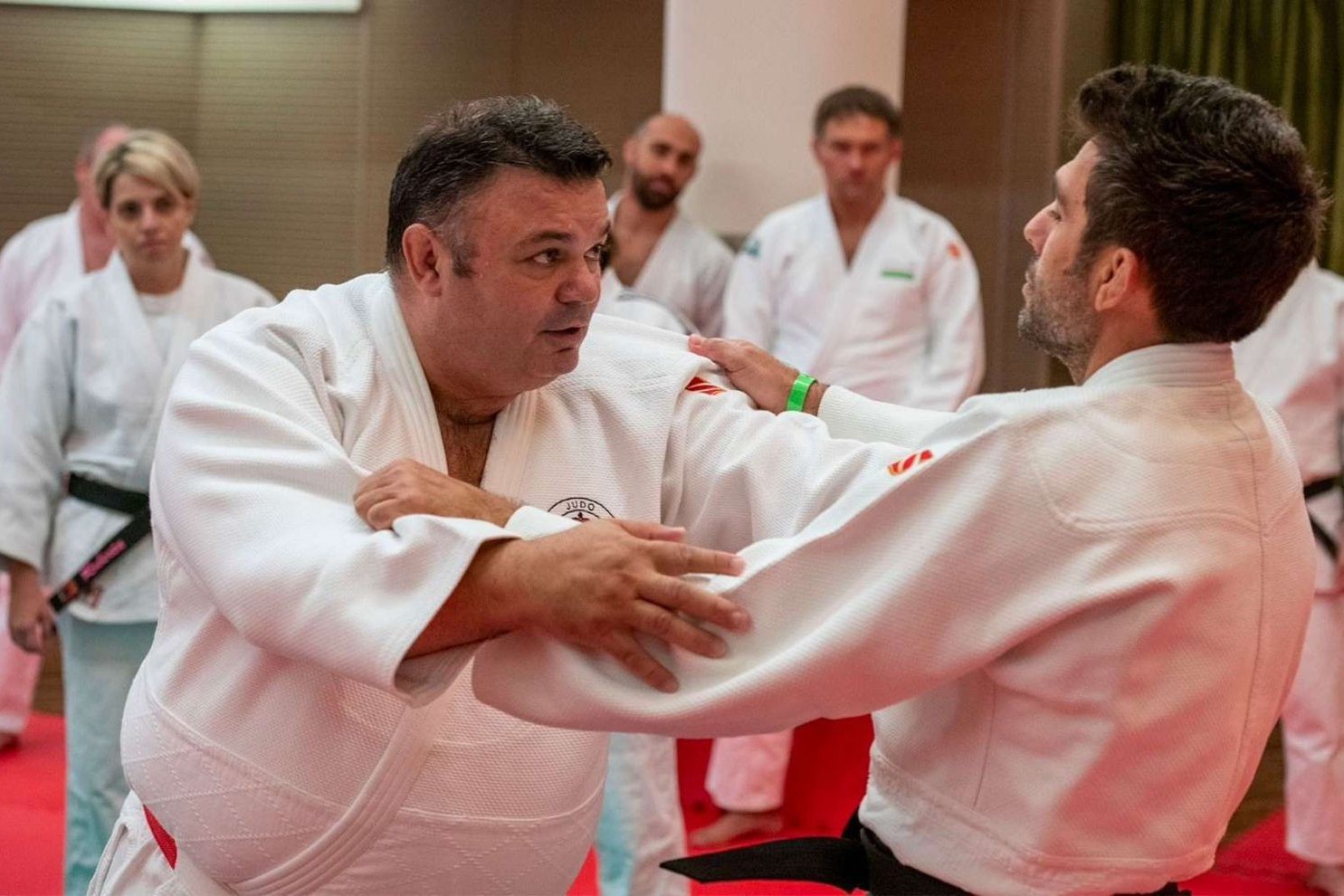 Azerbaijani coaches can attend an international seminar: new judo rules will be discussed