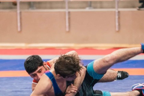 Azerbaijan Wrestling Championship starts - PHOTO