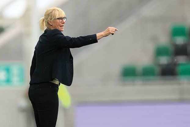 Hungary head coach: "There will be pressure on us to beat Azerbaijan"
