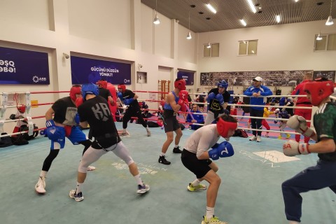 Наши боксеры готовятся к чемпионату Европы вместе со сборными Узбекистана и Сербии - ФОТО