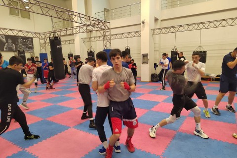 Наши боксеры готовятся к чемпионату Европы вместе со сборными Узбекистана и Сербии - ФОТО
