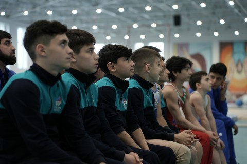 Мастер-класс в Баку от президента Федерации гимнастики Сербии - ФОТО