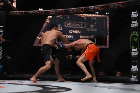 Victory from the Azerbaijani MMA fighter – PHOTO