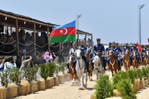 14 карабахских лошадей на международном фестивале - ФОТО