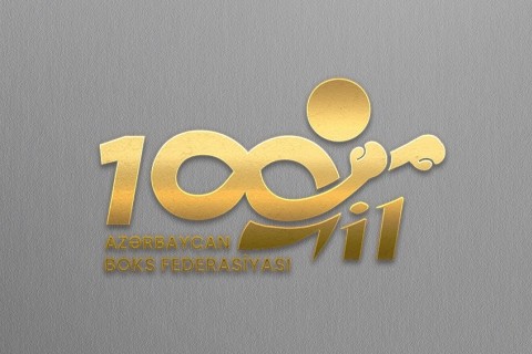 Special logo for the 100th anniversary of the Boxing Federation - PHOTO