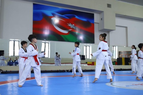 Dan exam held in Baku with participation of Korean expert - PHOTO