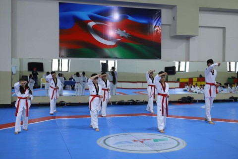 Dan exam held in Baku with participation of Korean expert - PHOTO