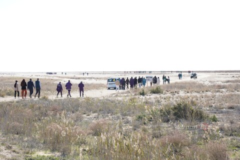 Azerbaijani Olympic prize winners in a flash mob - PHOTO