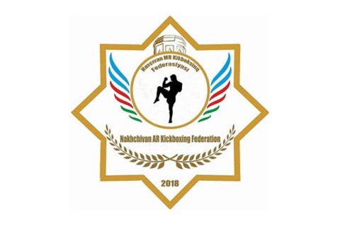 Kickboxing federation stops its activities in Nakhchivan