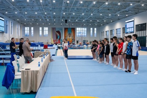 Ziqfred tərəfindən Bakıda batut gimnastikası üzrə seminar - FOTO