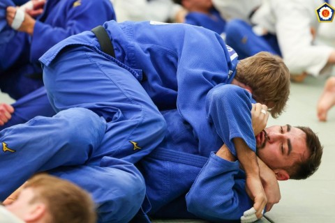 Azerbaijan's judo team trains in Belgium - PHOTO