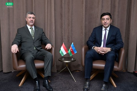 Farid Gayibov meets with Hungarian ambassador to Azerbaijan – PHOTO