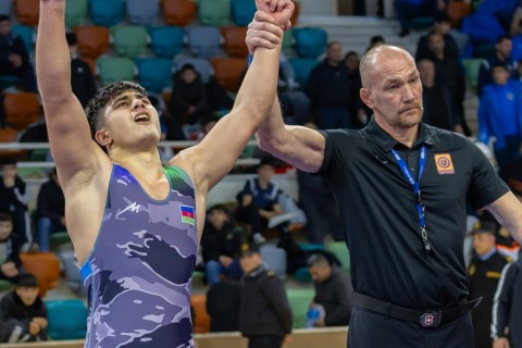 Azerbaijan Wrestling Championship concludes - PHOTO