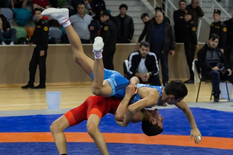 Azerbaijan Wrestling Championship concludes - PHOTO