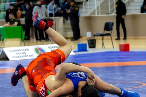 Azerbaijan Wrestling Championship concludes - PHOTO