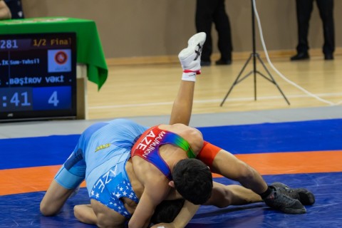 Azerbaijan Wrestling Championship concludes - PHOTO