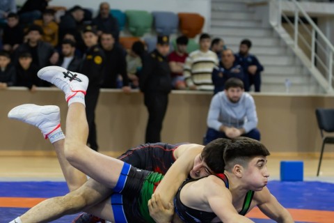 Azerbaijan Wrestling Championship concludes - PHOTO