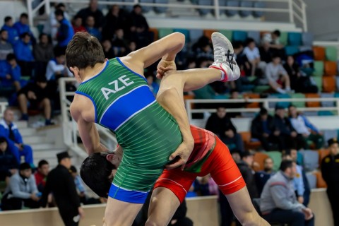 Azerbaijan Wrestling Championship concludes - PHOTO