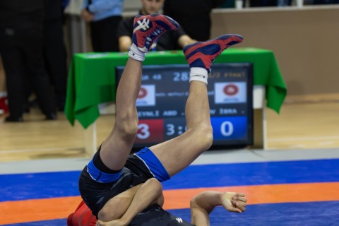 Azerbaijan Wrestling Championship concludes - PHOTO