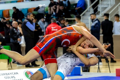 Azerbaijan Wrestling Championship concludes - PHOTO