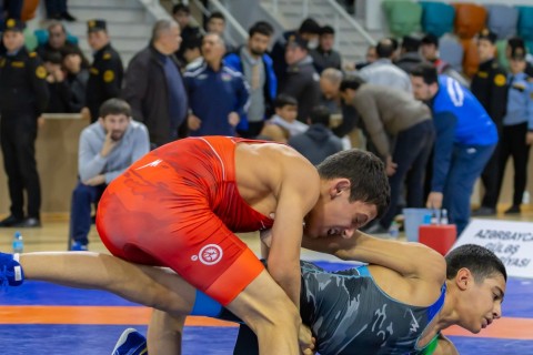 Azerbaijan Wrestling Championship concludes - PHOTO