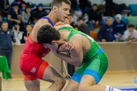 Azerbaijan Wrestling Championship concludes - PHOTO