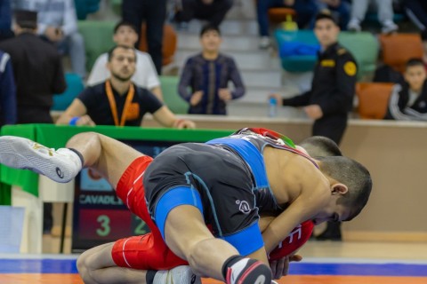 Azerbaijan Wrestling Championship concludes - PHOTO