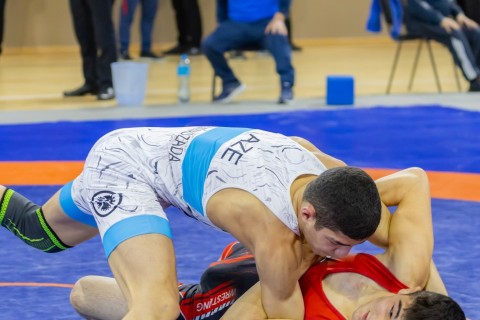 Azerbaijan Wrestling Championship concludes - PHOTO