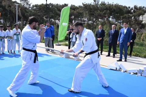 Novruz şənliyində idmançıların nümunəvi çıxışları nümayiş olunub - FOTO